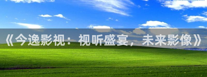 红叶影视下载app官方下载：《今逸影视：视听盛宴，未来影像》