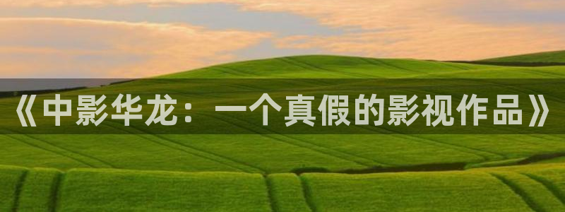 电影红叶：《中影华龙：一个真假的影视作品》