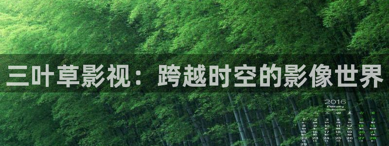 红叶影视下载app官方下载：三叶草影视：跨越时空的影像世界