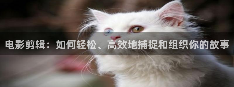 红叶影城今日影讯：电影剪辑：如何轻松、高效地捕捉和组织你的故事