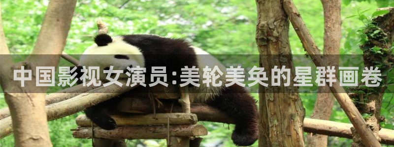 红叶影院：中国影视女演员:美轮美奂的星群画卷