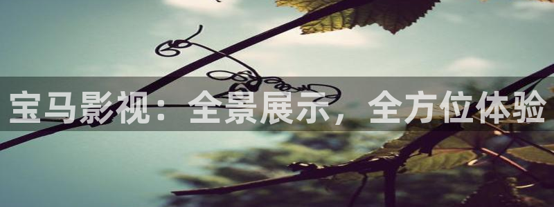 红叶影视下载app官方下载：宝马影视：全景展示，全方位体验