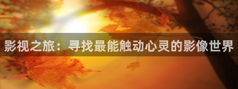 红叶影城电影：影视之旅：寻找最能触动心灵的影像世界