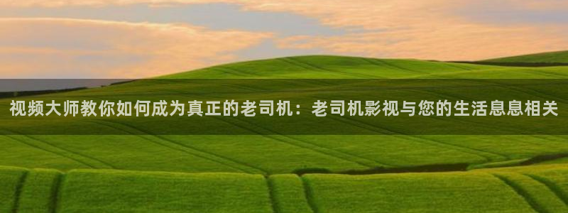 六安红叶电影院今日影讯：视频大师教你如何成为真正的老司机：老司机影视与您的生活息息相关