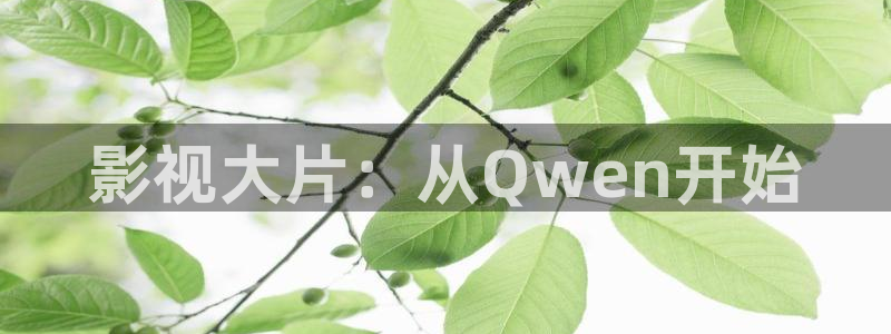 红叶电影院今日影讯：影视大片：从Qwen开始