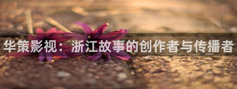 红叶影院免费观看电视剧：华策影视：浙江故事的创作者与传播者