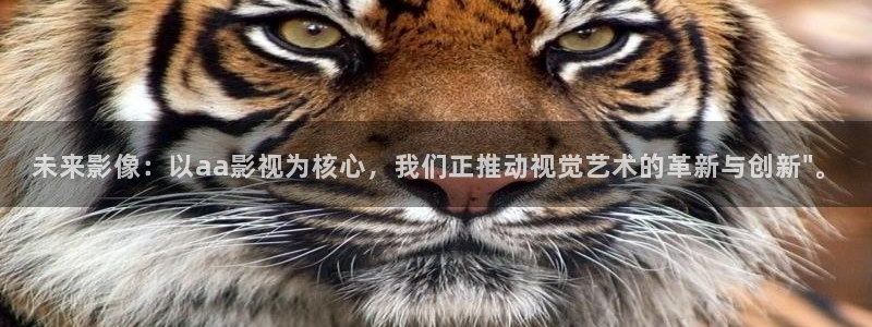 六安红叶国际影城：未来影像：以aa影视为核心，我们正推动视觉艺术的革新与创新\